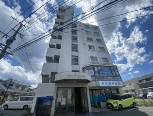 ホープ流星の画像