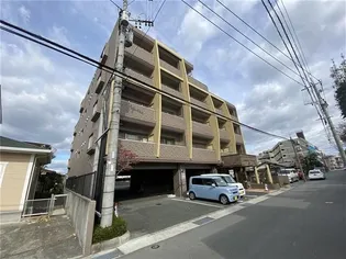 メゾン ビューアルカディアの画像