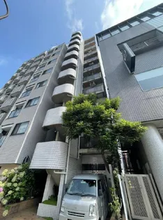 リバーサイドオオハシの画像