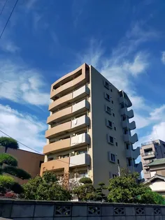 ブラウニーの画像