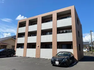 ポロ イマーレの画像