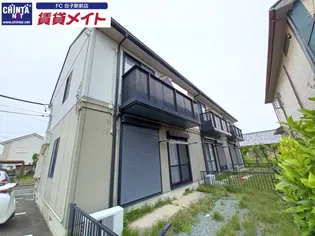 ハイビスカスDの画像