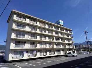リバーサイドハイツ丸山Aの画像