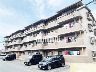 エクセルシオールIIの画像