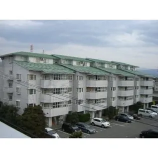 プレジデントステイツ上袋の画像