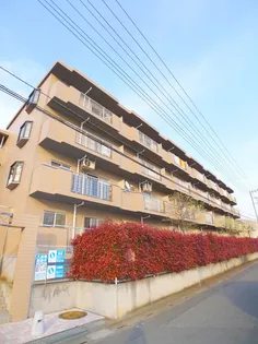 エントピアの画像