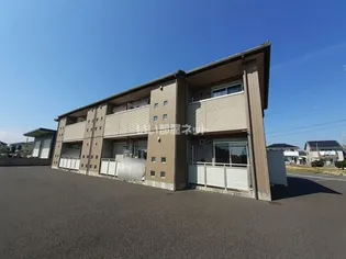 ティーツリーの画像