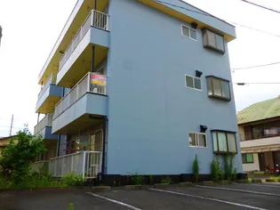 メゾンド望月【2階】の外観