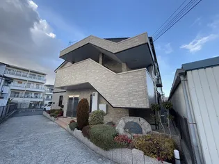 ワ オークの画像