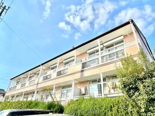 ムーニーナリタの画像