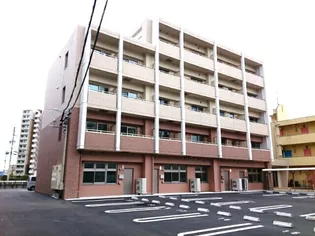 鹿児島県鹿児島市唐湊1【マンション】の外観