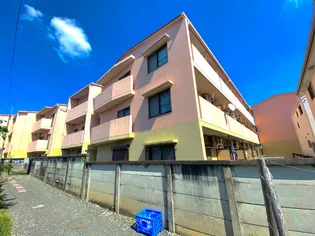 アミスタの画像