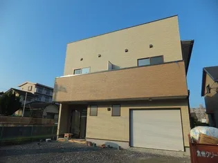 メイプルの画像