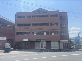 プリムローズ西野の画像