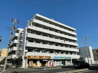 綱島ダイヤモンドパレスの画像