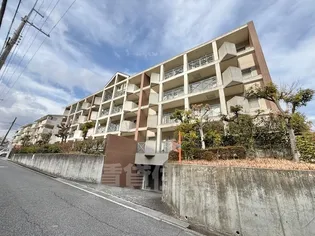 アルタカーサの画像