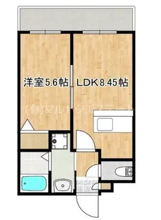 ヴェルビュー郡元【1階】の間取り