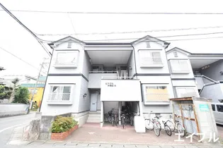 ピナクル井相田Bの画像