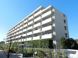 ステラメゾン武蔵小山【5階】の外観