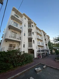 志陽ハイツ青木【4階】の外観