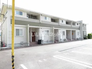 ダンデライオンの画像