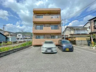 マリベールアネシスの画像