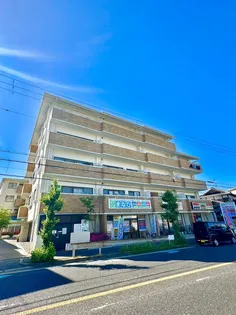 AXISフローラハイツ泉佐野Iの画像