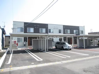 オルキスの画像