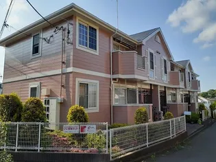 コモド ブリッサの画像