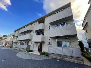 シャルマンの画像