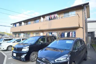 アネシスIIの画像