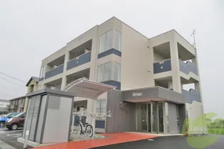 シリウスの画像