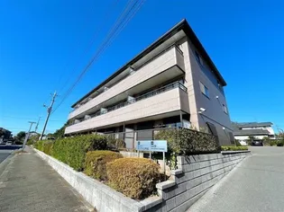 グレイス ヒルの画像