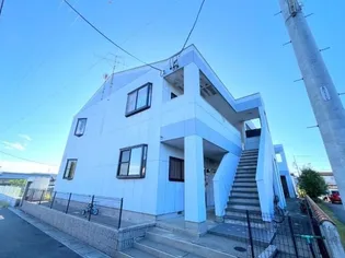 ミレニアムダイトクの画像