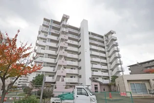 URサンヴァリエ藤井寺【9階】の外観