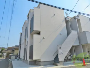 SETA BRILLANTEの画像