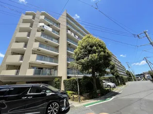 ネバーランド北小金サンフォートの画像