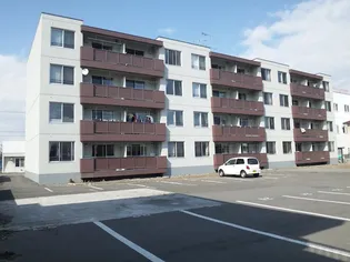 エルミタージュの画像