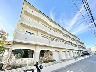 ジェイ ジルーBの画像