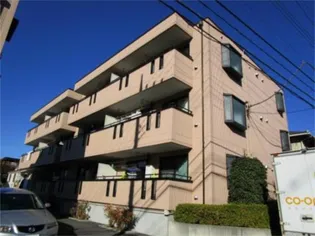 シルクトゥリーの画像