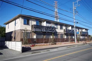 プリムローズの画像