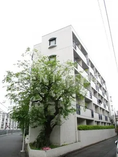 ジョイフル池上【2階】の外観