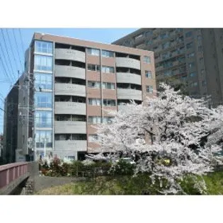 アルジェントルーチェの画像