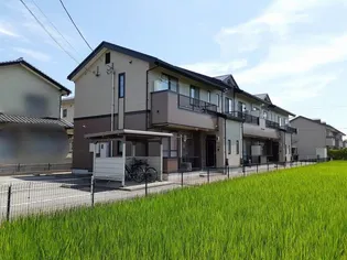 リアルドリームIIの画像