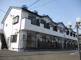 ヒルズアオイの画像