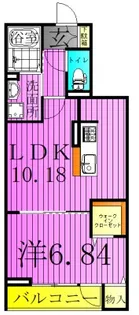 アンジュール新田【2階】の間取り
