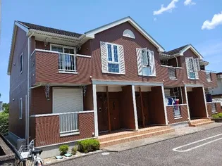 ミューズ Bの画像