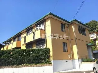 エミーナ泊山の画像