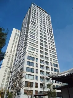 SAION SAKURAZAKAの画像