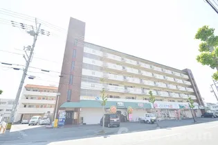 徳島県徳島市住吉3【マンション】の外観